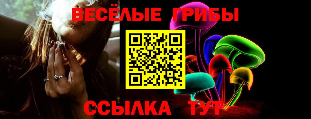 Рубцовск  Галлюциногенные грибы ЛСД  Галлюциногенные грибы прущие грибы  Вход с VPN 