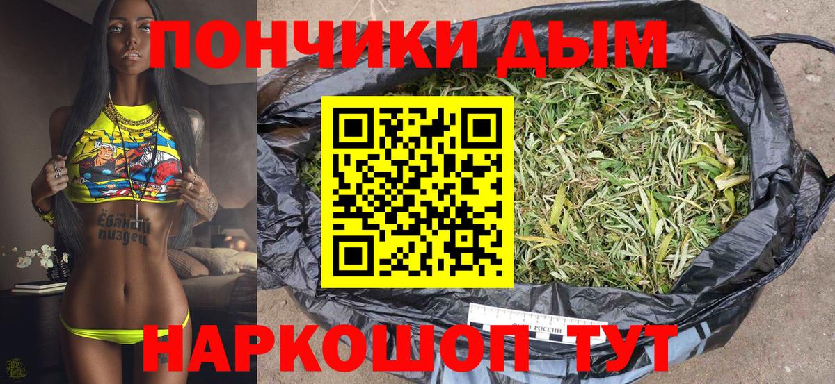МАРИХУАНА сатива Рубцовск